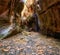 Amazing Avakas gorge, nature landscape, Cyprus