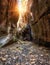 Amazing Avakas gorge, nature landscape, Cyprus