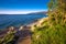 Amazing beach with crystalic clean sea water with pine trees, Istria, Croatia