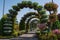 Amazing beautiful green archway alley made from flowers in the pots