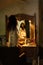 Amazing beautiful pregnant brunet woman portrait near wooden commode with mirror, Asian style