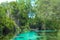 Amazing Blue Weeki Wachee River