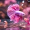 amazing bright pink Betta fish male posing against pink background in nice light. close up. Ai generated