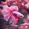 amazing bright pink Bette fish male posing against pink background in nice light. close up. Ai generated