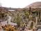 Amazing Cactus Variety In This Botanical Cactus Park. June 30, 2011.  Lanzarote Canary Islands Spain Europe. Travel tourism street