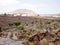 Amazing Cactus Variety In This Botanical Cactus Park. June 30, 2011.  Lanzarote Canary Islands Spain Europe. Travel tourism street