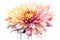 Amazing and classy image for chrysanthemum flower AI-Generated