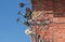 Amazing closeup abstract view of a brick corner building with various old vintage retro technology fire pipes tubes and other part