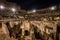 Amazing colosseum stadium interior illuminated at night