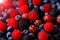 Amazing composition of red raspberries and gooseberries on background of blue blueberries. Ripe and juicy fresh berries, close-up