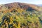 Amazing countryside mountain scenery autumn landscape