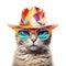 Amazing cutie cat wearing colorful summer hat and sunglasses isolated over white background. Created with generative Ai