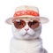 Amazing cutie cat wearing white summer hat and red sunglasses isolated over white background. Created with generative Ai