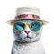 Amazing cutie cat wearing white summer hat and sunglasses isolated over white background. Created with generative Ai