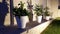 Amazing decoration of plants in white pots along. Plants are decorated in pots row wise in darkness.