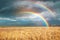 Amazing double rainbow over field under stormy sky