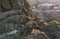 Amazing Edinburgh Cityscape seen from the top of Salisbury Crags