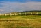 The amazing Erdene Zuu Monastery , Mongolia