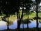 Amazing evening view at lakeside Taman Wetland. Trees silhouette. Nature and environmental concepts