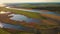 Amazing fairy landscape drone flies over river with swamps and lakes in wet area with dry yellow reeds and green grass