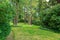 Amazing farm house backyard with green lawn, fir trees, bushes