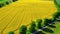 Amazing field of rapeseed. Agriculture in Poland.