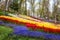 Amazing flowering garden, famous turkish park Emirgan Korusu in Istanbul during spring tulip festival, Turkey