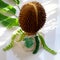Amazing food flower pot from a durian fruit with green leaf in morning sunlight