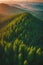 a amazing forest landscape aerial view mountains on horizon sunset amzing sunrise gen ai