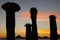 AMAZING GIANT SAGUAROS AND SUNSET