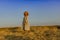 Amazing girl in a hat at sunset in the steppe on the sea