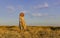 Amazing girl in a hat at sunset in the steppe on the sea