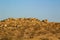 Amazing granite stone and boulders, loose in the desert