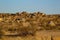 Amazing granite stone and boulders, loose in the desert