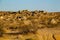 Amazing granite stone and boulders, loose in the desert