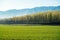 Amazing Grassland woods and snow mountains in spring