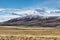 Amazing group of sheep in farm with golden yellow grass with background of nature mountains with snow on peak with cloud in autumn