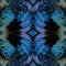 Amazing grunge velvet blue on dark background of Common Archduke