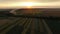 Amazing huge sunset on fields horizon. Aerial view. 4K