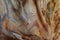 Amazing Inside View Pictures of the Laas Geel cave formations - an earliest known cave paintings in the Horn of Africa