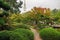 Amazing Japanese garden in autumn in Hamburg