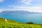 Amazing Lake Geneva surrounded by green vineyards on adjacent slopes. Photographed in famous Lavaux wine region, from village Riex