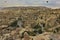 Amazing landscape of Cappadocia, view from a height.