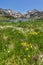 Amazing landscape of Dzhangal peak, Popovo lake and yellow flowers in front, Pirin Mountain