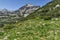 Amazing Landscape with Dzhangal peak and Spring flowers in Pirin Mountain