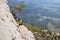 Amazing landscape with a mountain range and a tourist with a backpack in the foreground. mountaineering and climbing