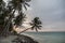 Amazing landscape of palms near of Indian ocean during the sunset