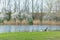 Amazing landscape of pictorial forest with green lawn, trees and pond, near the shore of which is prepared place with fishing rods