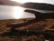 Amazing landscape view on Borsko Jezero lake in Serbia