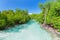 Amazing landscape view of natural turquoise ocean river flowing in tropical garden at Cuban Cayo Coco island